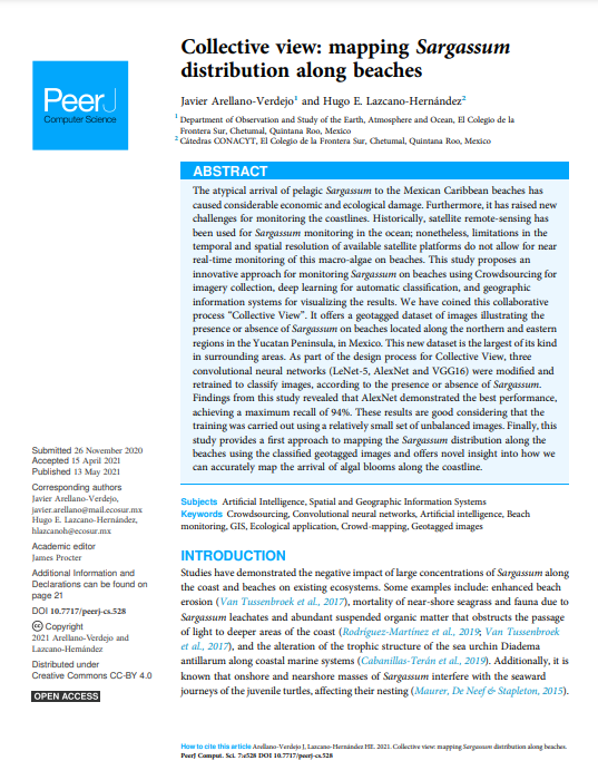 Portada del articulo, Collective view: maping for sargasumm