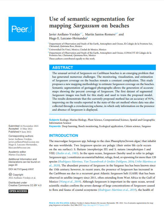 portada del articulo, Uso dela sematica